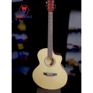 acoustic guitar for sale
