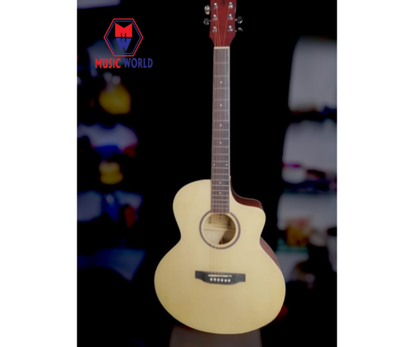 acoustic guitar for sale