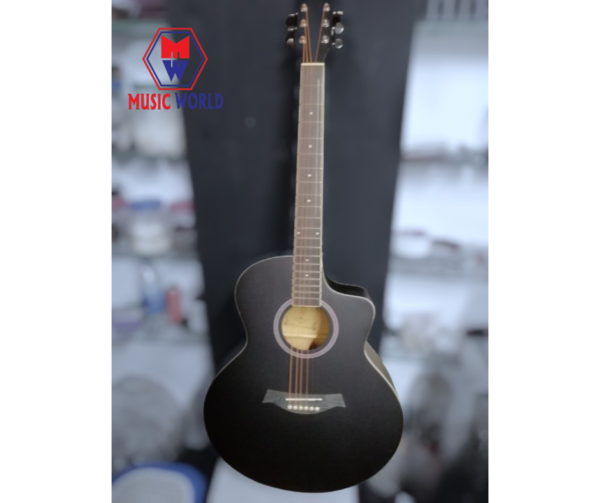 Takla Acoustic Guitar Black m390